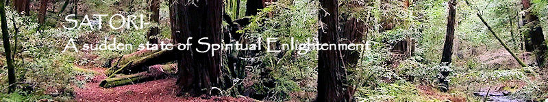 Satori Well Being Center- Acupuncture,  Counseling, Energy Healing, Hypnotherapy, Massage, Nutrition, Reiki, Yoga in Poulsbo, WA USA 98370