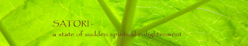 Satori Well Being Center- Acupuncture, Chinese Medicine, CranioSacral Therapy, Herbalist, Counseling, Energy Healing, Hypnotherapy, Massage, Nutrition, Reiki, in Poulsbo, WA USA 98370