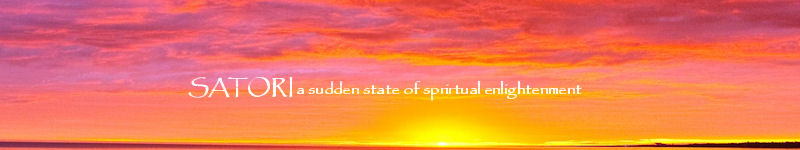 Satori Well Being Center- Acupuncture, Chinese Medicine, CranioSacral Therapy, Herbalist, Counseling, Energy Healing, Hypnotherapy, Massage, Nutrition, Reiki, in Poulsbo, WA USA 98370